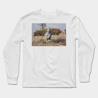 Great blue heron Long Sleeve T-Shirt